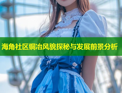海角社区铜冶风貌探秘与发展前景分析  第2张