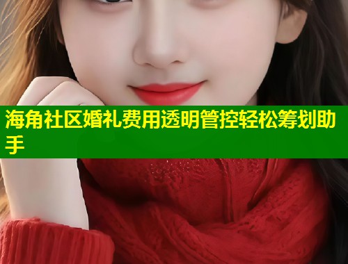 海角社区婚礼费用透明管控轻松筹划助手  第1张