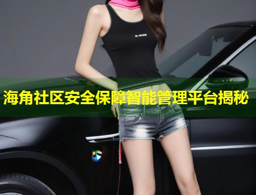 海角社区安全保障智能管理平台揭秘  第1张